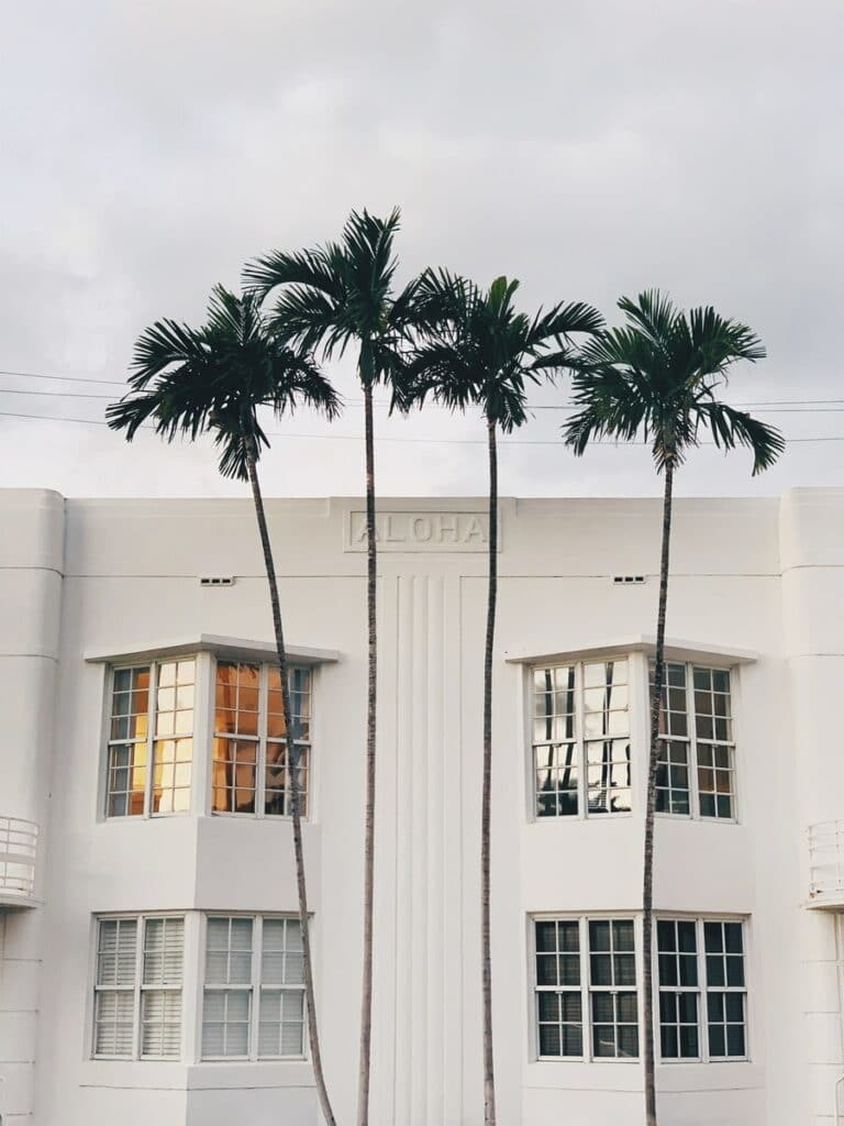 white concrete building with palm tree in front